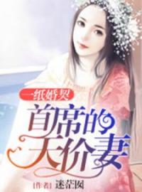 一纸婚契之首席的天价妻全文免费阅读 一纸婚契之首席的天价妻祈风铃空俁最新章节