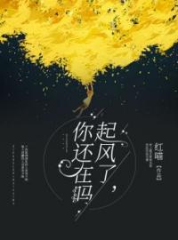 《起风了你还回来吗》大结局免费阅读 《起风了你还回来吗》最新章节目录