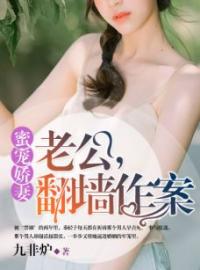 《蜜宠娇妻：老公，翻墙作案》完结版精彩阅读 秦轻予沈砚小说在线阅读