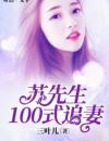 苏先生100式追妻