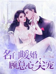 《名门暧婚：顾总心尖宠》夏沐彦顾子年小说在线阅读