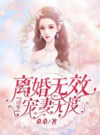 《离婚无效：司少宠妻无度》大结局免费阅读 《离婚无效：司少宠妻无度》最新章节目录