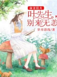 《前妻似火：叶先生，别来无恙》夏安叶亦寒最新章节全文免费阅读