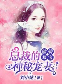 《傲娇双宝：总裁的神秘宠妻》乔岚月顾霆霄小说在线阅读