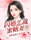 闪婚总裁蜜糖妻