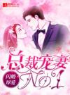 闪婚厚爱：总裁宠妻NO.1