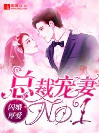 《闪婚厚爱：总裁宠妻NO.1》最新章节 闪婚厚爱：总裁宠妻NO.1苏北路南全文阅读