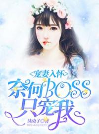 宠妻入怀：奈何boss只宠我(宋熙苪陆霆琛)全文完结在线阅读完整版