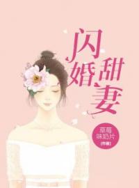 《闪婚甜妻》免费试读 苏蜜晏南戈小说在线阅读