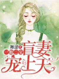 一胎二宝：盲妻宠上天全本资源 盛云瑶霍瑾琛完整未删减版