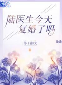 《陆医生今天复婚了吗》楚矜陆温言全文免费阅读