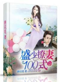 盛少撩妻100式时颖盛誉小说_盛少撩妻100式小说章节