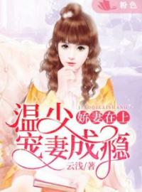 许燕岚温霆烨小说《娇妻在上：温少宠妻成瘾》全文及大结局精彩试读