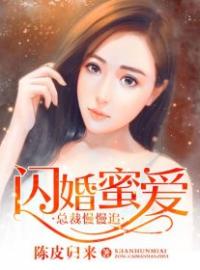 闪婚蜜爱：总裁慢慢追燕子蓉乔子安目录_闪婚蜜爱：总裁慢慢追小说阅读