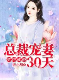 总裁宠妻30天言晚霍黎辰小说阅读_总裁宠妻30天文本在线阅读