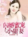 闪婚蜜宠小甜妻