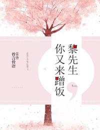 《黎先生，你又来蹭饭》洛时锦黎其琛全文阅读