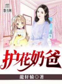 护花奶爸(凌风林颖儿)全文完结在线阅读完整版