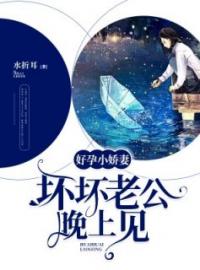 《好孕小娇妻：坏坏老公，晚上见》沈繁星盛司珩全文阅读