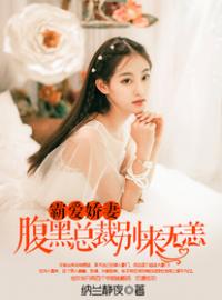 霸爱娇妻：腹黑总裁别来无恙(文婧陆琛)全文完结在线阅读完整版