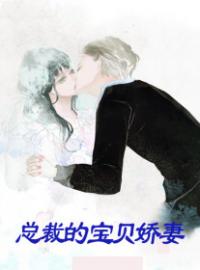 《总裁的宝贝娇妻》连墨琛许可全文阅读