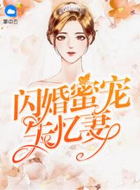 沈若初贺知年小说阅读_沈若初贺知年小说《闪婚蜜宠失忆妻》