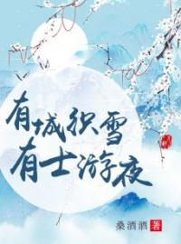 绿丝福盈小说《有城织雪，有士游夜》全文及大结局精彩试读