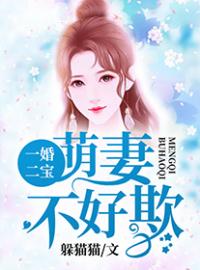 《一婚二宝：萌妻不好欺》言荏苒季应时全文阅读