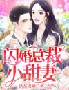 闪婚总裁小甜妻