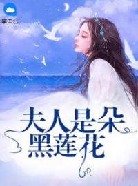 叶以桑桓岭小说《夫人是朵黑莲花》全文及大结局精彩试读