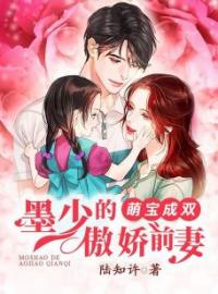 小说《萌宝成双：墨少的傲娇前妻》姜知许墨琛全文免费试读