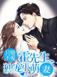 《只婚不爱：霍先生独宠小萌妻》大结局免费阅读 《只婚不爱：霍先生独宠小萌妻》最新章节目录