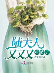 陆夫人又又又虐渣了(夏晨曦陆星河)全文完结在线阅读完整版