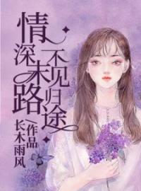 《葬礼与婚礼》明月苒纪决寒小说在线阅读