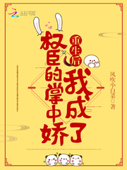 《王府百年无女，双胞胎郡主出生》免费试读 南宝衣萧弈小说在线阅读