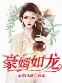 豪婿如龙(龙沧海关诗雨)全文完结在线阅读完整版