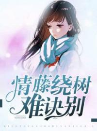 情藤绕树难诀别(安研程以默)全文完结在线阅读完整版