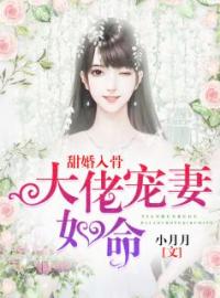 甜婚入骨：大佬宠妻如命丁晨夕孟祁岳小说阅读_甜婚入骨：大佬宠妻如命文本在线阅读