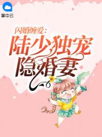 闪婚缠爱：陆少独宠隐婚妻全文免费试读 苏晚晚陆言深小说大结局无弹窗