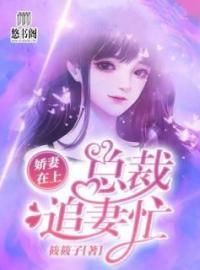 沈苏烟端木辰小说《娇妻在上：总裁追妻忙》全文及大结局精彩试读