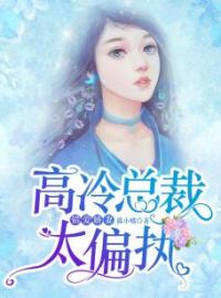 错爱娇妻：高冷总裁太偏执全文免费试读(陆清琳邹御) 完结版