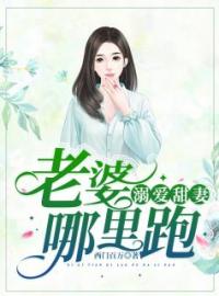 溺爱甜妻：老婆，哪里跑李茵茵顾念聿小说大结局在线阅读