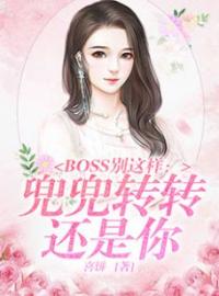 BOSS别这样：兜兜转转还是你苏晨筱贺北川小说阅读_BOSS别这样：兜兜转转还是你文本在线阅读