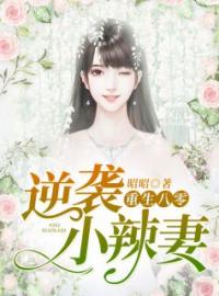 梅小冉欧阳寻小说阅读_梅小冉欧阳寻小说《重生八零：逆袭小辣妻》