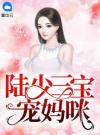 陆少三宝宠妈咪