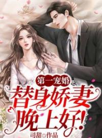 《第一宠婚：替身娇妻，晚上好！》大结局免费阅读 《第一宠婚：替身娇妻，晚上好！》最新章节目录