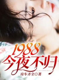 1988：今夜不归陈浩方芸小说_1988：今夜不归小说章节