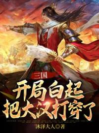 三国：开局白起，把大汉打穿了刘辩董卓小说全文阅读 三国：开局白起，把大汉打穿了精彩章节