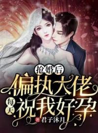 《抢婚后：偏执大佬每天祝我好孕》大结局免费阅读 《抢婚后：偏执大佬每天祝我好孕》最新章节目录