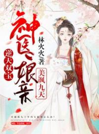 好书推荐《逆天双宝：神医娘亲美飒九天》风九黎御墨渊全文在线阅读